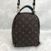 Louis Vuitton Palm Springs PM 